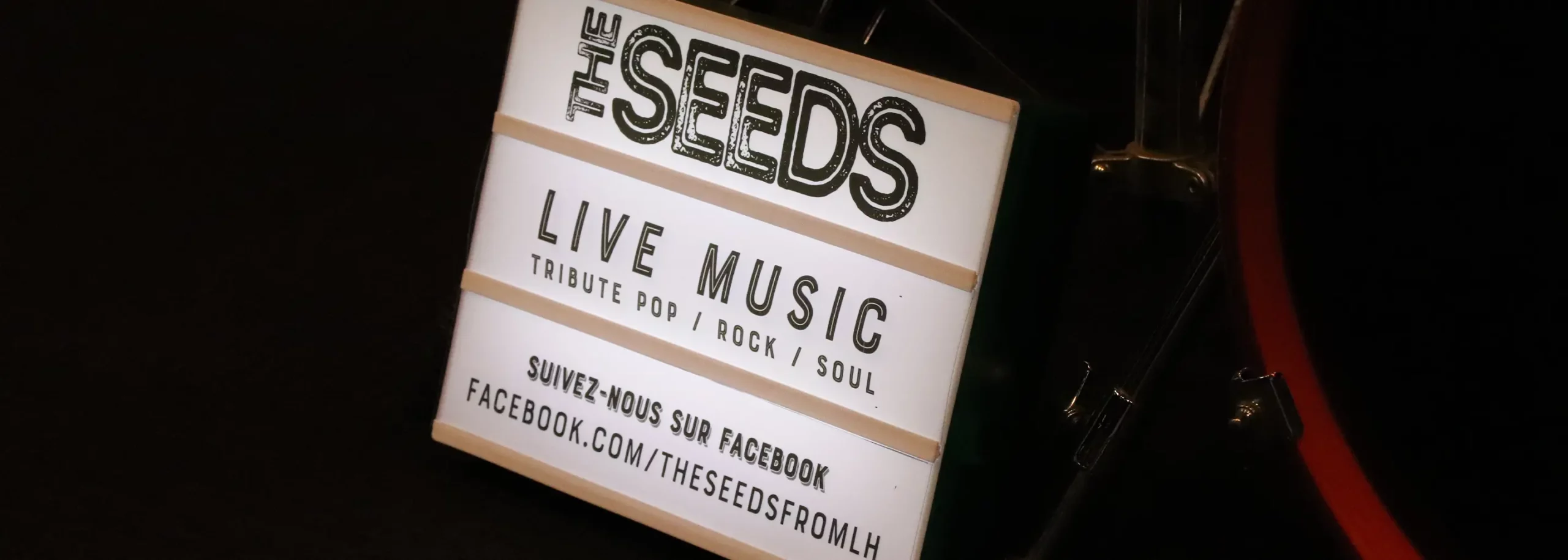 Groupe de musique, The Seeds